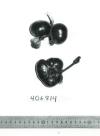 FRUIT